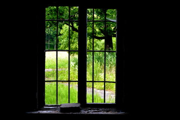 Okno na przyrodę 