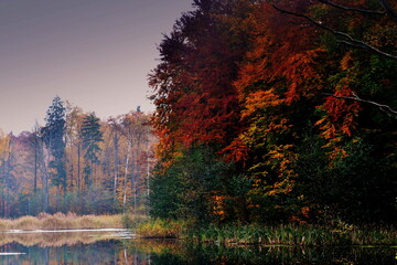 Piękna jesień