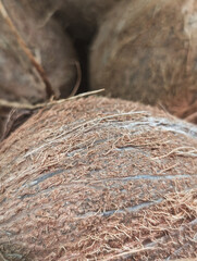 Close-up image of brown coconuts with visible natural texture
