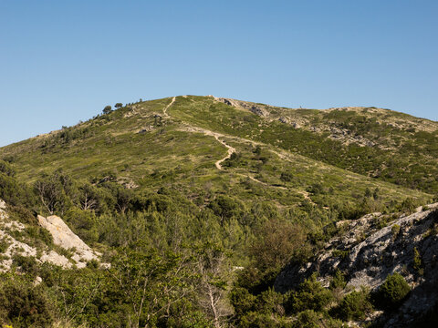 Colline verte dans le massif des Alpilles en Provence avec petit sentier serpentant la montagne, paysage de garrigue, roches blanches calcaires et ciel bleu