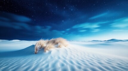 A solitary creature, partially hidden in a vast, desolate landscape under a starry sky, evokes a sense of wonder and mystery, blending nature and the unknown.