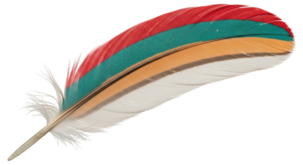 Isolated Feather