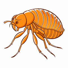 Flea Insect Vector – Detailed Close-Up of a Parasite Bug