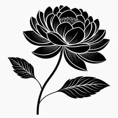 black and white flower