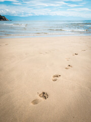 海のビーチについた足跡　夏休み