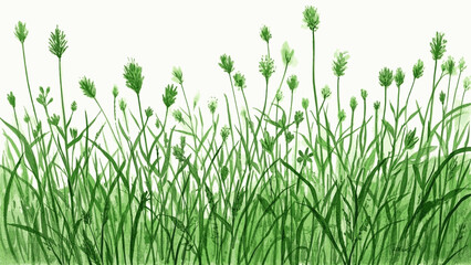 Meadow Mist Green Grass isolated watercolor vector illustration svg