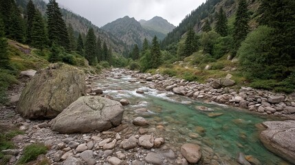 Serene mountain river flowing through lush green forested valley with rocky banks