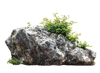 Natural grey stone formation with small green plants and shrubs growing from crevices, creating a miniature landscape element isolated on transparent background