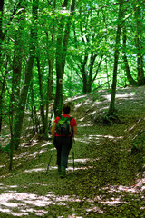 Obraz premium path from barbagelata to mount caucasus (caucaso) genoa italy