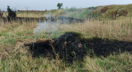 smoke rising from burnt grass, wildfire in forest, air pollution, smoke from ash 