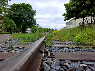 Low-angle view of overgrown railway tracks cutting through a grassy urban verge, with weathered...