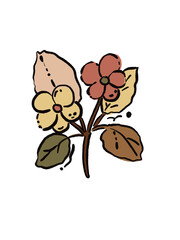 vector illustration of an orchid flower