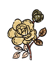 hand drawn rose vector