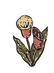 Illustration stamps