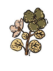 hand drawn vector illustration of a flower