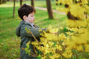 curious child exploring nature examines yellow flowers in lush garden. young boy in green jacket...