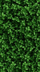 Lush Green Leaves Texture Background for Natural Design Projects