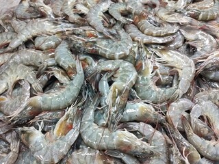 A close-up image showing a large pile of fresh raw shrimp with visible shells and antennae.