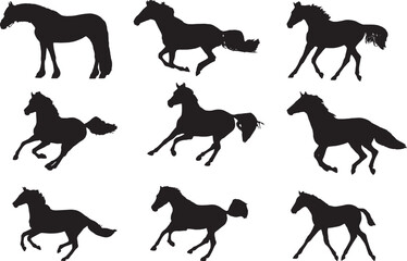 Horse Silhouettes, Vector Illustration on White Background.