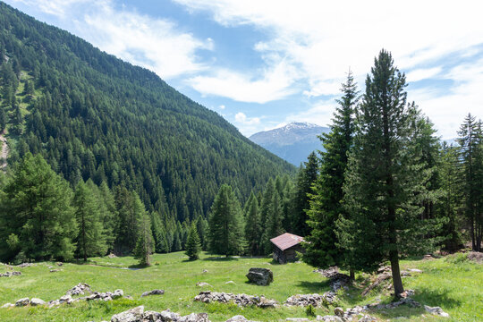 bornio val zebr&ugrave; tourist town known for its winter sports facilities and uncontaminated valleys