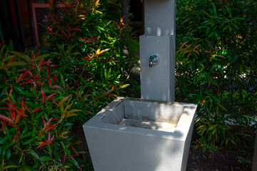 An outdoor sink with a metal faucet surrounded by green and red ornamental plants. The modern stone structure is situated in a shaded garden area, evoking cleanliness and nature.
