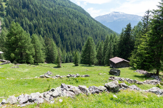 bornio val zebr&ugrave; tourist town known for its winter sports facilities and uncontaminated valleys