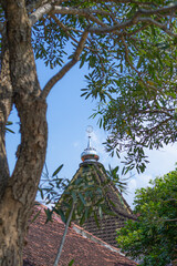 Traditional mosque rooftop with a silver Islamic crescent moon finial, partially framed by leafy tree branches under clear blue sky in tropical setting.