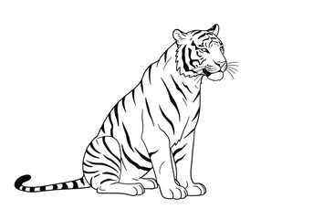 Obraz premium Sitting tiger drawing. It is a black and white outline image of a tiger in a sitting pose, showcasing its powerful and majestic presence. Vector sketch line art draw.