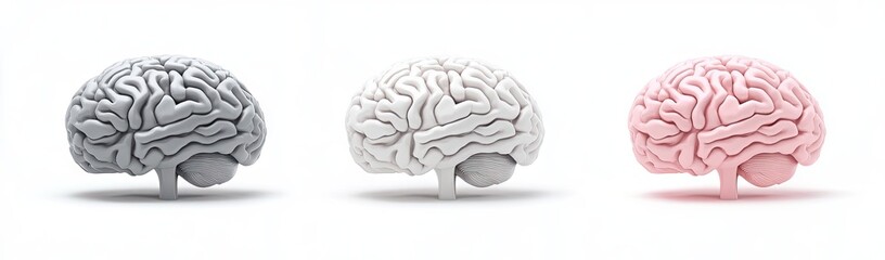 Three stylized brain models in gray, white, and pink