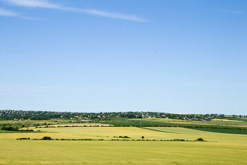 Fototapeta premium A field with a rainbow