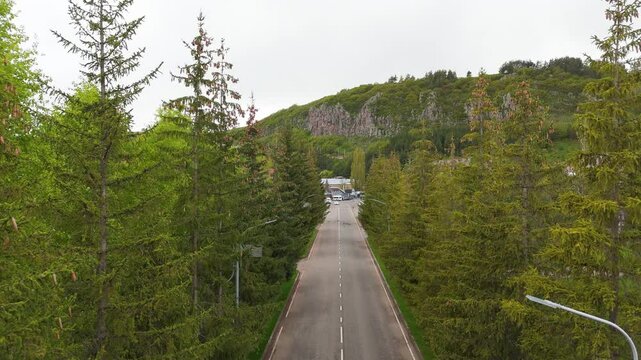 Aerial shot empty road between trees. Aerial top view empty road between trees. The empty road leads through the fir trees․ Drone fly over empty highway in Jermuk, Armenia. 