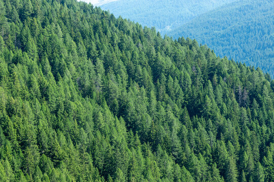 bornio val zebr&ugrave; tourist town known for its winter sports facilities and uncontaminated valleys