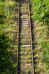 Obraz premium A train track going through the woods