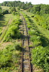 A railroad track going through a forest