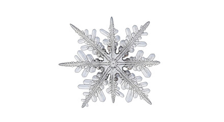 Isolated Detailed Snowflake