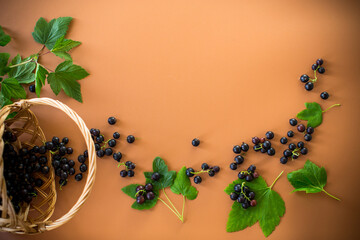 Ripe blackcurrant with leaves on brown background