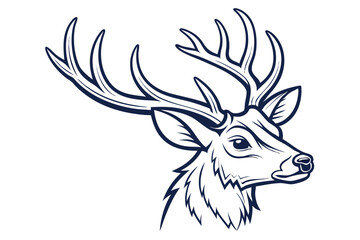 Black and white deer head shows detailed antlers and confident gaze