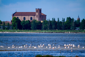 comacchio regional park po delta lagoon for eel fishing and wildlife reserve