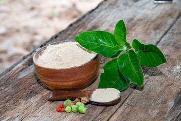 Withania somnifera (Ashwagandha) dried root Powder, green leaves Medicinal Herb. Ashwagandha on wooden background