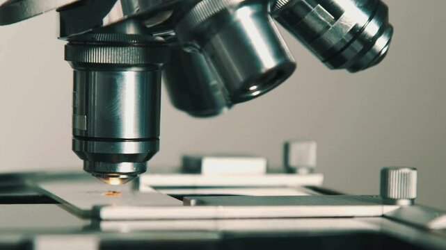 In the laboratory, a scientist uses an electron microscope to examine the details of viruses, which contributes to research in the field of virology.