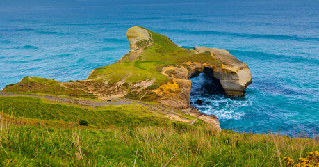 The landscape view with Scenic of Tunnel beach, Dunedin, South island of New Zealand
