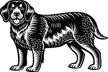 Border Collie stares intently; its expressive face is rendered in bold monochrome contrast, creating a stylized portrait