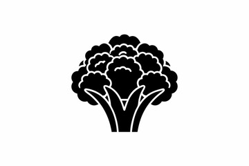 Cauliflower icon vector silhouette illustration isolated on white background