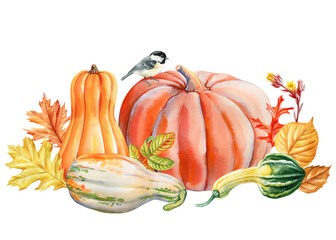 Pumpkins gourds and tit bird with colorful fall leaves and wildflowers watercolor autumn harvest countryside art poster
