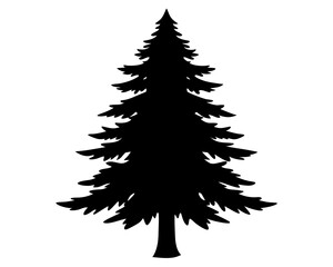 Obraz premium Evergreen Tree Vector Art, Tree Vector Icon Clipart
