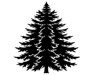 Evergreen Tree Vector Art, Tree Vector Icon Clipart