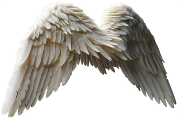 stunning oversized fantasy  angel wings isolated on white background PNG ,ai generated