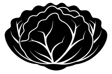 Cabbage vector silhouette illustration isolated on white background