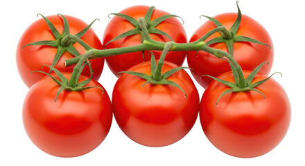 Isolated Bunch of Fresh Red Tomatoes on the Vine