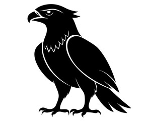 Hawk Bird Silhouette Vector Art